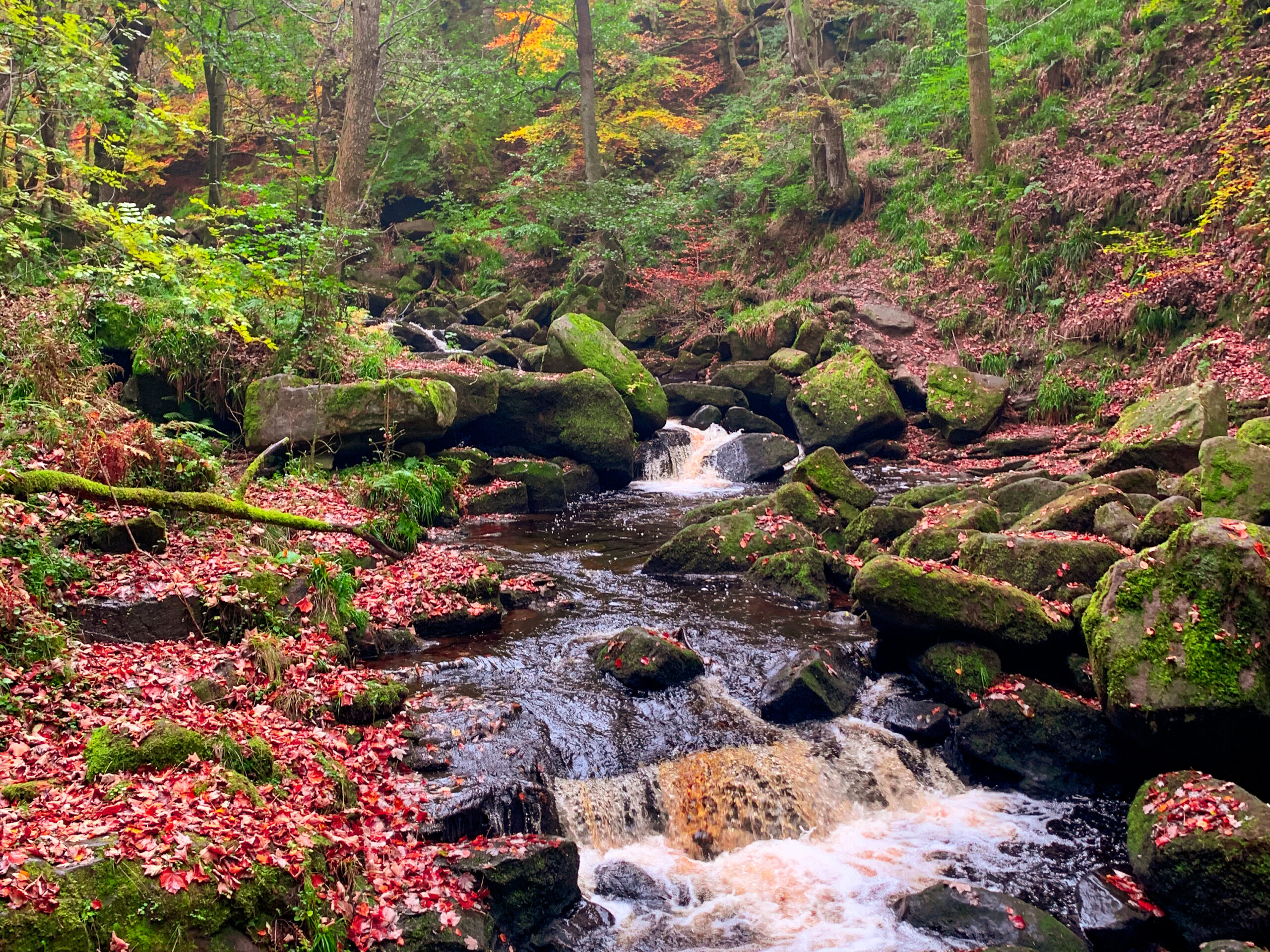 Padley Gorge